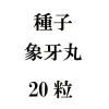 ҡݲݡ20γ<img class='new_mark_img2' src='https://img.shop-pro.jp/img/new/icons57.gif' style='border:none;display:inline;margin:0px;padding:0px;width:auto;' />