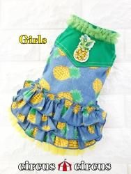 Sale Circus Circus Sale Circus Circus