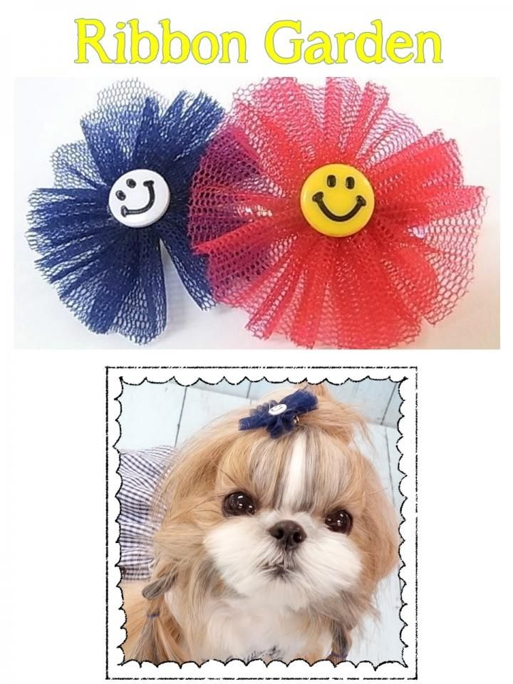 2   スマイルフラワー Smile Flower - CIRCUS CIRCUS ONLINE SHOP