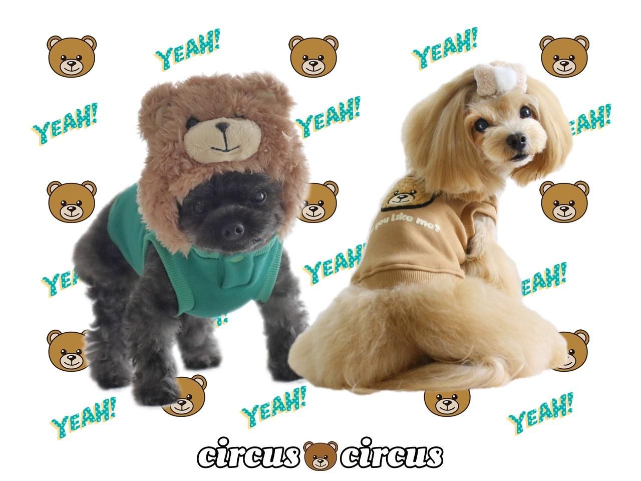 POPPIN' BEAR HOODIE【裏起毛ウェア】 - circus circus