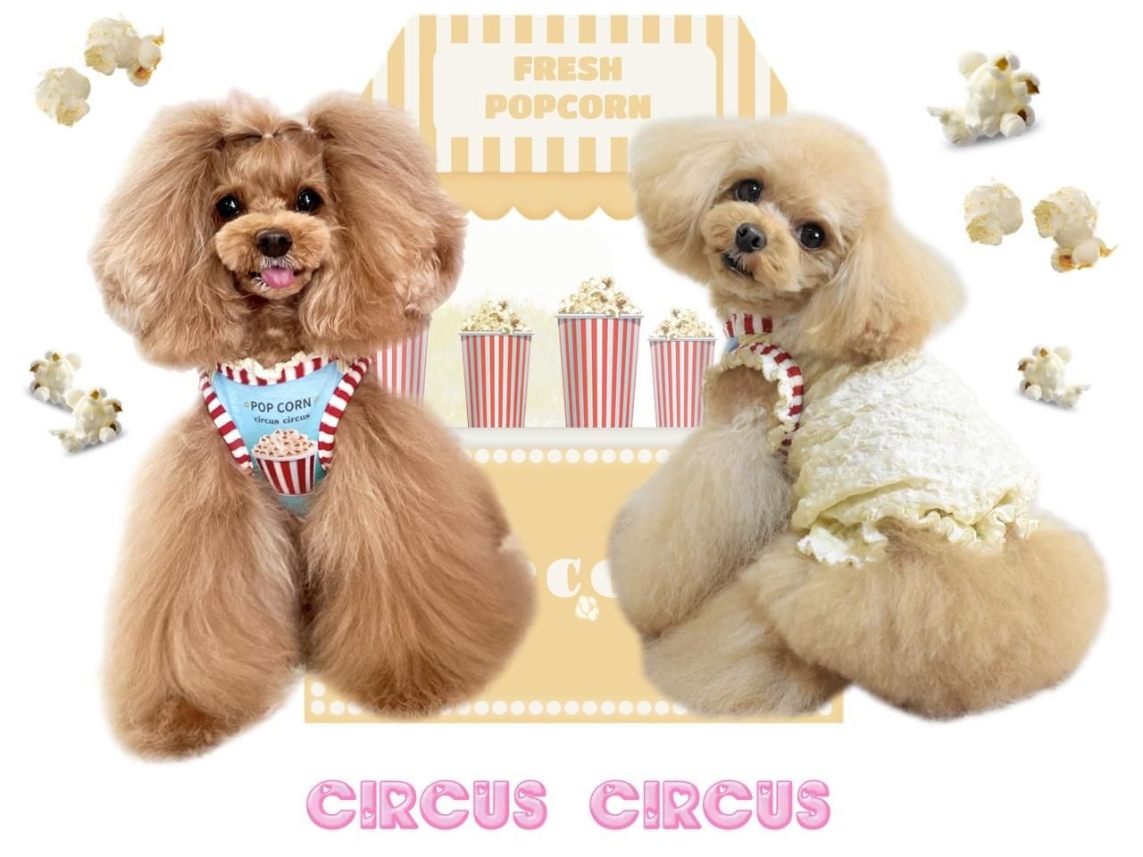 popcornデザインが可愛い！ Bagcraft Papercon 300471 Pinch Bottom Popcorn Bag with Clown