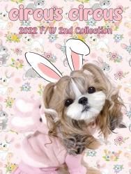 カタログ - CIRCUS CIRCUS ONLINE SHOP