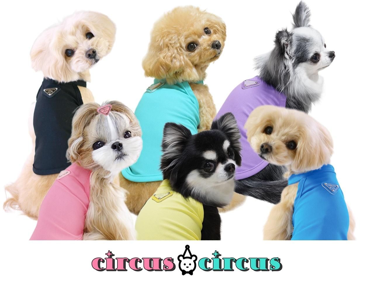 Chic Mesh タンクBlack＆Salmon　サーカスサーカスcircus Chic Mesh タンクBlack＆Salmon サーカスサーカスcircus