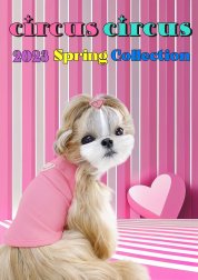 2023 Spring Collection catalog