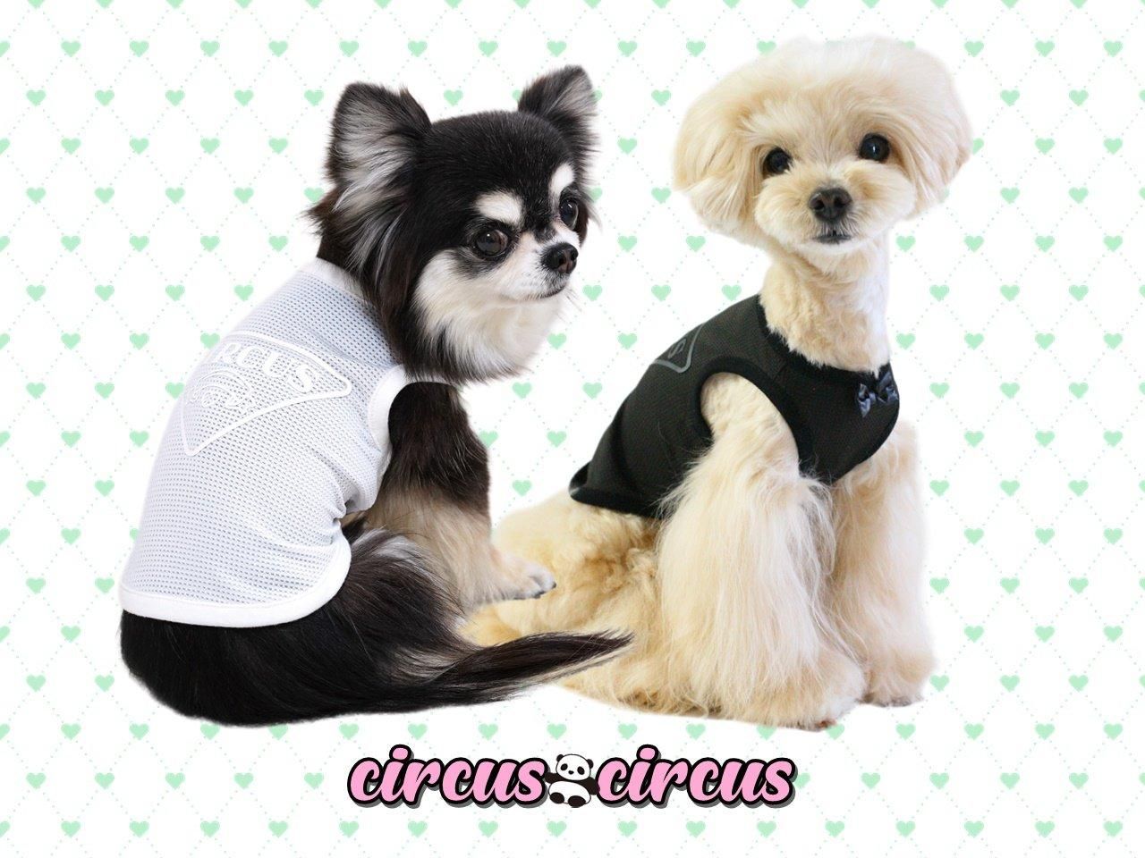 Chic Mesh タンクBlack＆Salmon　サーカスサーカスcircus Chic Mesh タンクBlack＆Salmon サーカスサーカスcircus