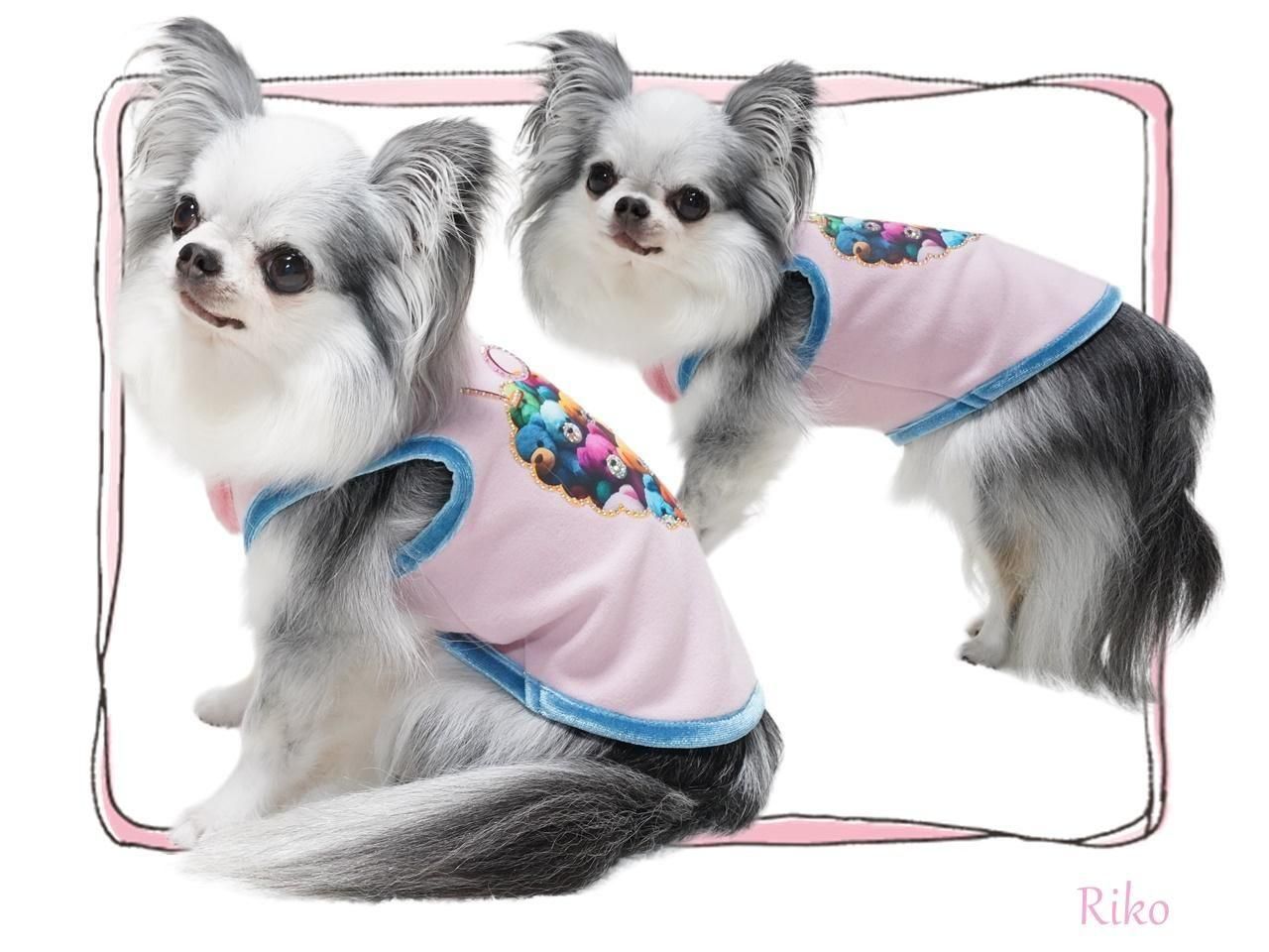 Bling Stuffy Bearタンク - CIRCUS CIRCUS ONLINE SHOP