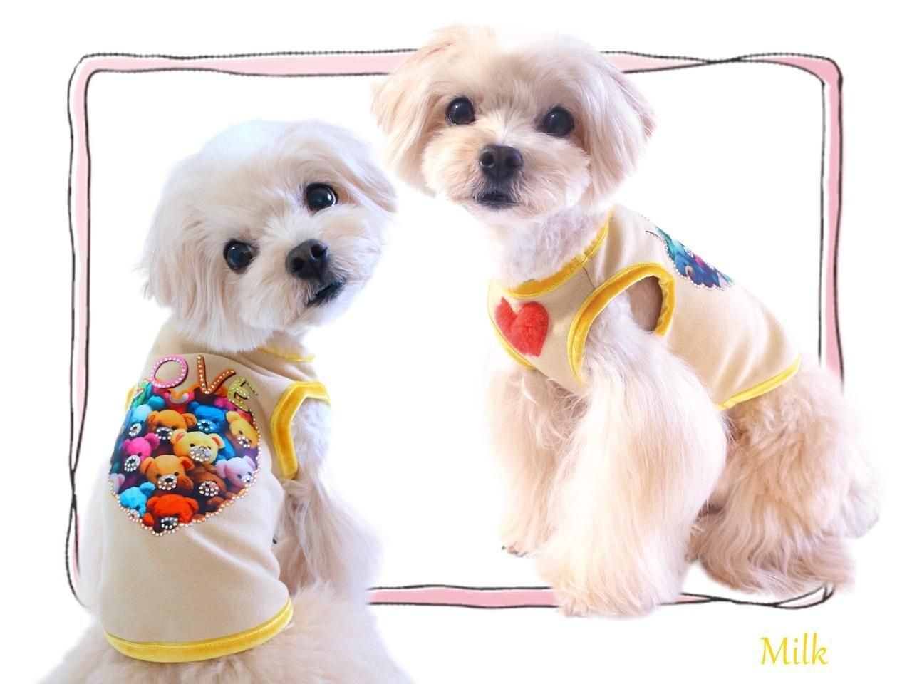 Bling Stuffy Bearタンク - CIRCUS CIRCUS ONLINE SHOP