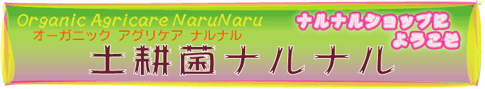 ڹ̶ݥʥʥΥͥåȥåפؤ褦