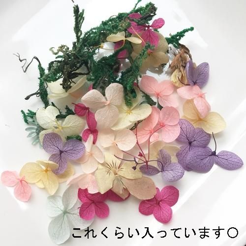 ドライフラワーアジサイ ドライモスセット ハンドメイド レジン材料 アクセサリーパーツの通販サイトcollage コラージュ ドライフラワーアジサイ ドライモスセット ハンドメイド レジン材料 アクセサリーパーツの通販サイトcollage コラージュ