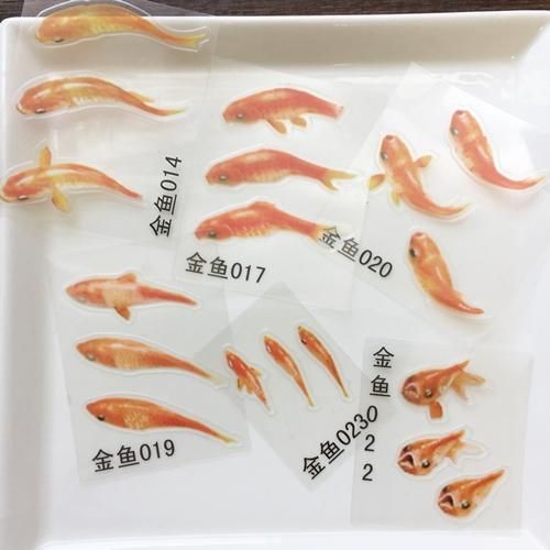 金魚のイラストシール クリアシール ハンドメイド レジン材料 アクセサリーパーツの通販サイトcollage コラージュ 金魚のイラストシール クリアシール ハンドメイド レジン材料 アクセサリーパーツの通販サイトcollage コラージュ