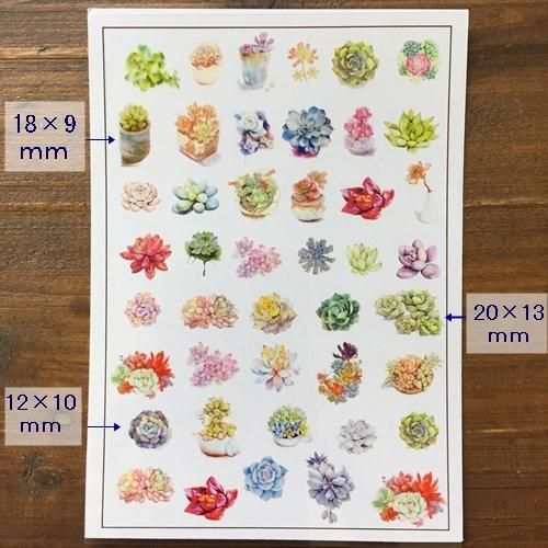 売れ筋商品 ガラス封入絵(自然植物使用) 絵画/タペストリ - www