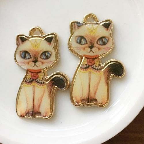 きれいな瞳の猫のピクチャーチャーム ネコイラストパーツ ハンドメイド レジン材料 アクセサリーパーツの通販サイトcollage コラージュ