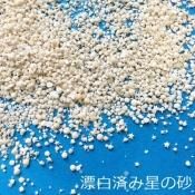 □星の砂・貝・ヒトデ - ハンドメイド・レジン材料 □星の砂・貝・ヒトデ - ハンドメイド・レジン材料