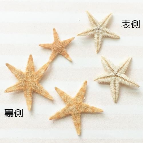 レジン「手芸材料の卸売りサイトChuko Online」