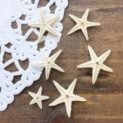 □星の砂・貝・ヒトデ - ハンドメイド・レジン材料