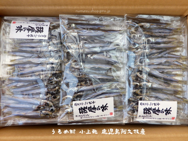 うるめいわし 小 上乾 35g×5パック 阿久根 - 【ショップタイセイ】専門店の品質で海鮮グルメを全国へお届け