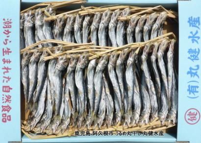 うるめいわし 丸干し | 阿久根産 - 【ショップタイセイ】専門店の品質
