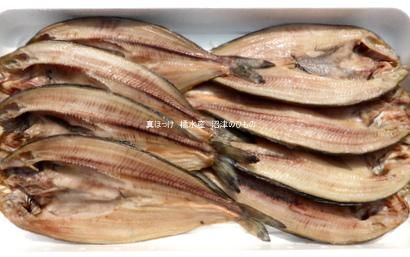 ほっけ開き 中 8枚 橘水産 ショップタイセイ ほっけ開き 中 8枚 橘水産 ショップタイセイ