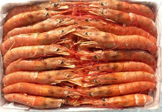 アルゼンチン赤海老 L2 2kg ショップタイセイ