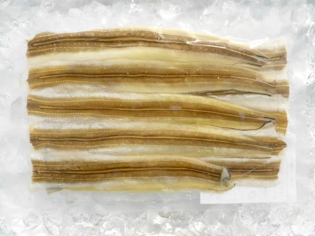 真穴子開き10尾 250ｇ 10パック 業務用 To食研 ショップタイセイ