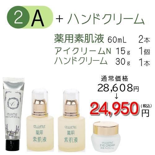 基本のスキンケア - セルティユウエルネス【公式通販】