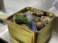 岡山県産の殻付き牡蠣 - 3年牡蠣 - 一斗缶入り殻付牡蠣 - 牡蠣