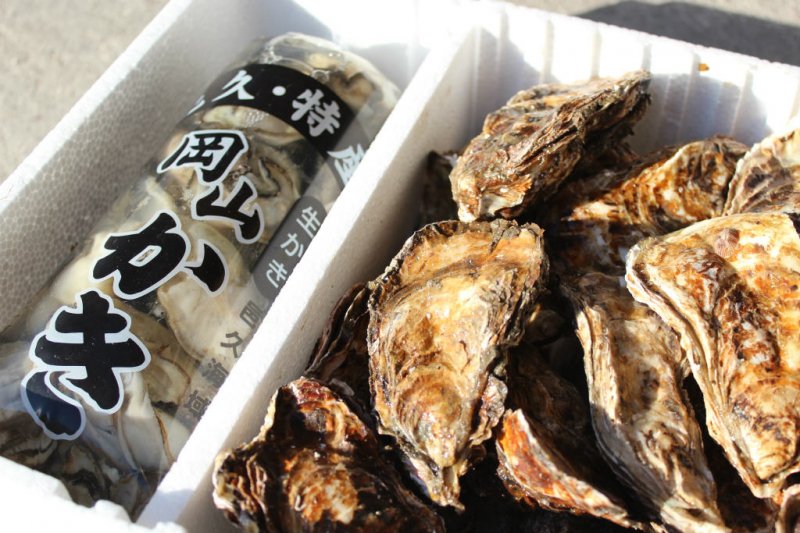 殻付き牡蠣-特選3年物殻付き牡蠣とむき身牡蠣セット】/送料無料/産地直送 - 備前焼/和食器/牡蠣/おこめ/ご当地グルメ/など、結婚祝いや内祝い、プレゼントに最適なギフト販売の通販ショップ  - 【ASHITABA WEB SHOP】