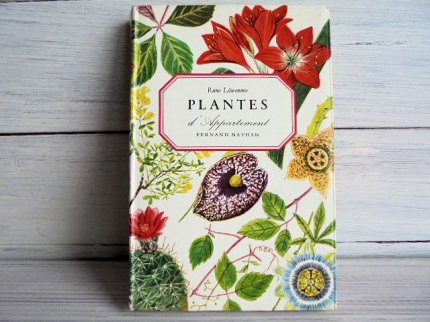 PLANTES D'APPARTEMENT ：室内植物図鑑/フランス   外国の古くて