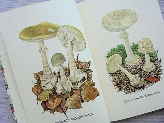 【超美品】インゼル文庫　小さなキノコの本　Das kleine Pilzbuch インゼル文庫 503番 小さなキノコの本 Das kleine Pilzbuch