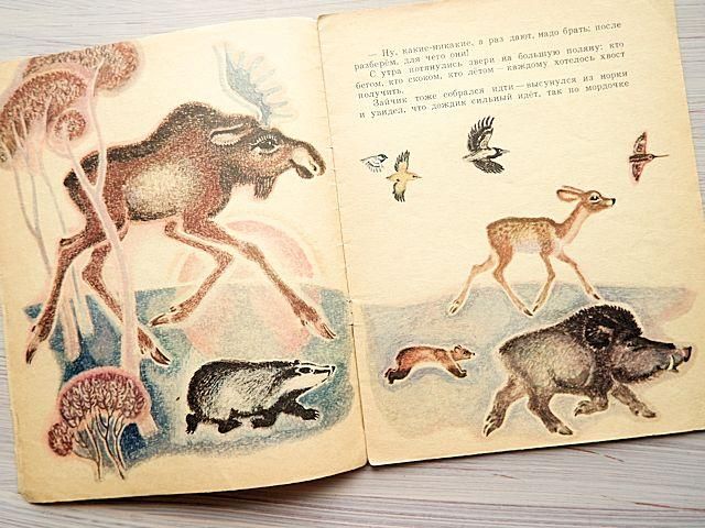 シカのしっぽとイノシシのしっぽ 2-1-04 ペット用品 シカのしっぽとイノシシのしっぽ