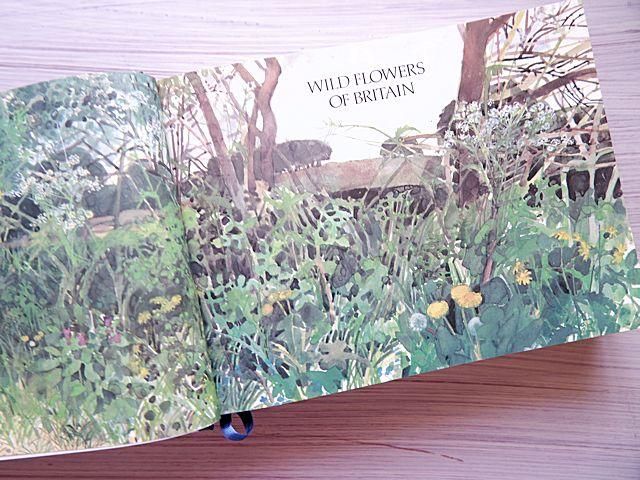 WILD FLOWERS OF BRITAIN | 野の花の植物図鑑 - 外国の古くて