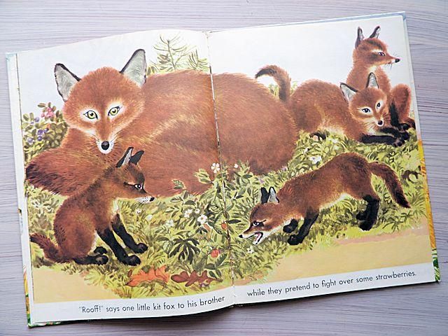 THE GREAT BIG WILD ANIMAL BOOK | フェードル・ロジャン