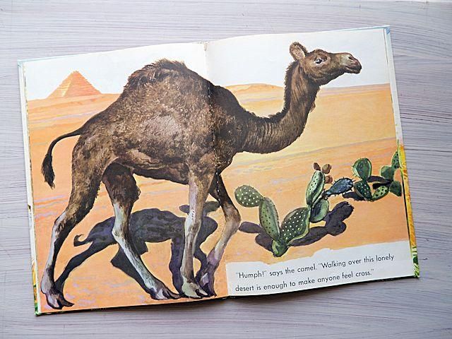 THE GREAT BIG WILD ANIMAL BOOK | フェードル・ロジャン