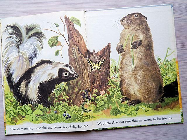 THE GREAT BIG WILD ANIMAL BOOK | フェードル・ロジャン