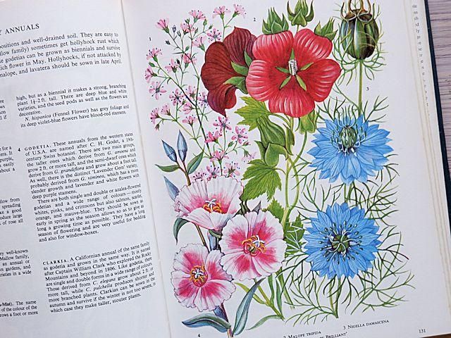 The Oxford book of GARDEN FLOWERS | イギリス植物図鑑 - 外国の古くてかわいい絵本たち ついん・らびっと The Oxford book of GARDEN FLOWERS | イギリス植物図鑑 - 外国の古くてかわいい絵本たち ついん・らびっと