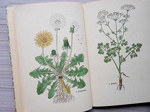 Das klein Kräuterbuch | インゼル文庫/薬草・ハーブ269番 Das klein Kräuterbuch | インゼル文庫/薬草・ハーブ269番