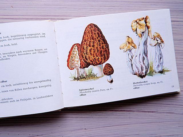 ドイツの絵本 森の結婚式 じゃばら式 きのこ 絵本・児童書