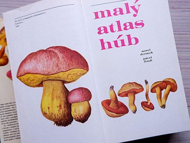 「高評価！」注目のレビュ 洋書 生物図鑑イラスト付き図鑑 コラージュ素材 動物・植物 洋書