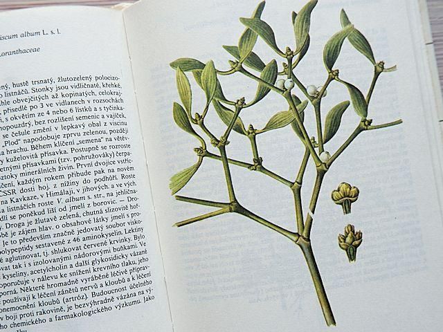 チェコ植物図鑑 | ポケットサイズ | 112種収録 - 外国の古くて