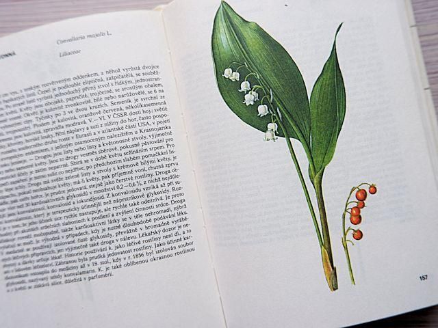 Atlas rostlin 植物図鑑 Atlas rostlin 植物図鑑
