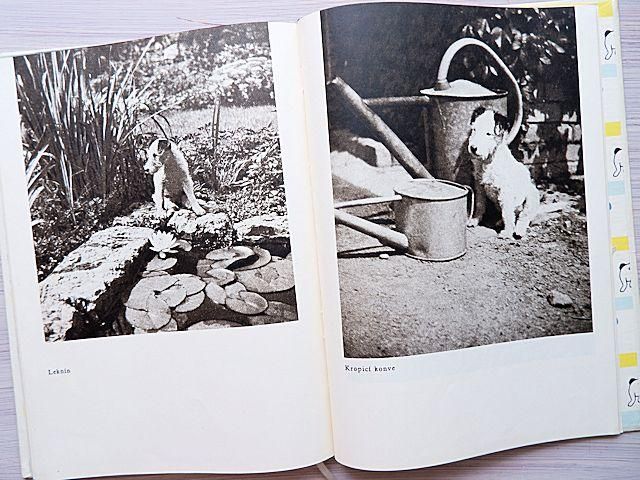 【稀覯本】カレル・チャペック著『ダーシェンカ』Dášeňka 1946年版 稀覯本】カレル・チャペック著『ダーシェンカ』Dášeňka 1946年版