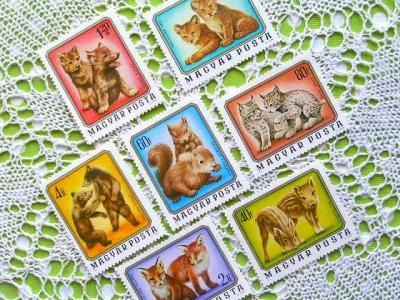 若者の大愛商品 外国の古くてかわいい絵本たち ついん☆らびっと コレクション