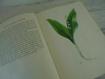 チェコの古い植物図鑑 Amazon.co.jp: チェコの古い植物図鑑(Kapesni atlas 1985年