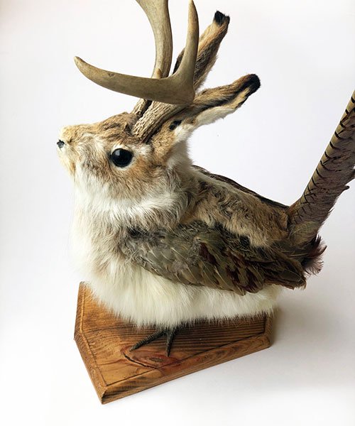JACKALOPE taxidermy - GARNI,PUEBCO,Anachronorm,VOO,THE SUPERIOR  LABOR,CandleJUNE.公式通販サイト｜eveNIFオンラインストア - A New World Life Style-