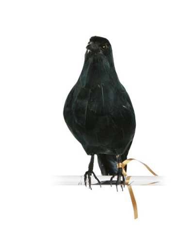 ARTIFICIAL BIRDS Crow - S / PUEBCO