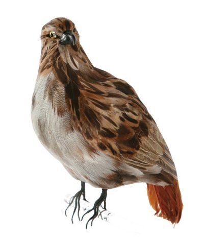 PUEBCO / ARTIFICIAL BIRDS Eagle - L