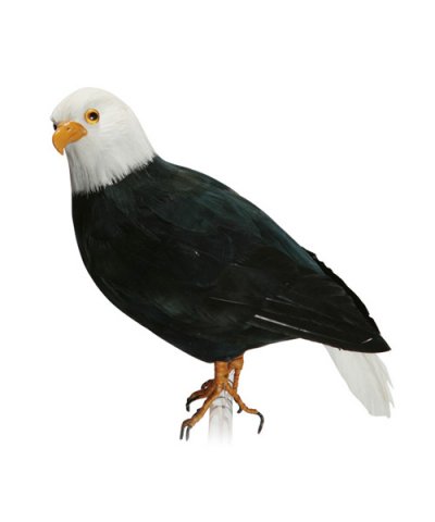 PUEBCO / ARTIFICIAL BIRDS Hawk - L