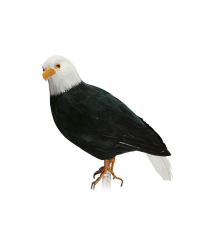 ARTIFICIAL BIRDS Hawk - S / PUEBCO