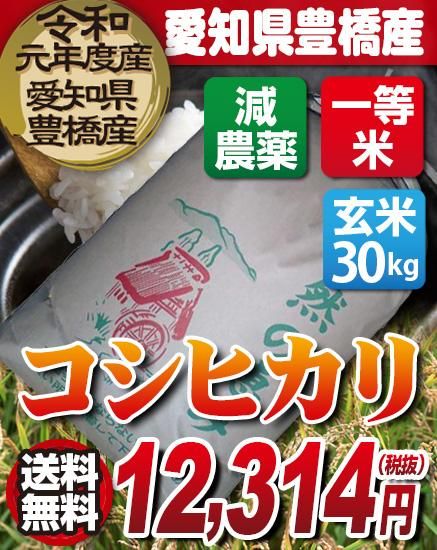 送料無料 減農薬 令和元年度産 新米 愛知県豊橋産 コシヒカリ 玄米 30kg 送料無料 減農薬 令和元年度産 新米 愛知県豊橋産 コシヒカリ 玄米 30kg