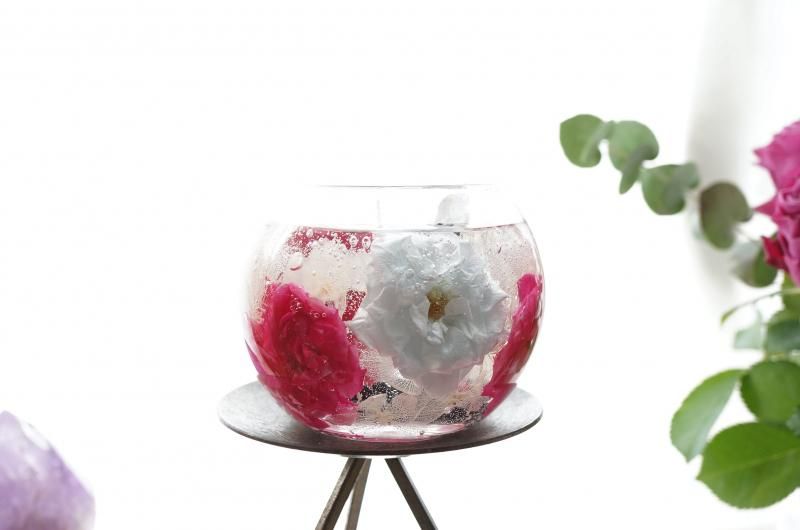 高千穂の息吹 【C】